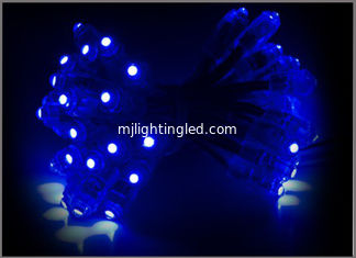 CHINE L'éclairage bleu de pixel a mené la décoration extérieure de Noël de scintillement de module de pixel des lumières de Noël de mariage des lumières 5V de nuit LED fournisseur