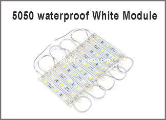 CHINE Les modules de la Chine LED 5050 3 ont mené des éclairages blancs légers de la publicité de couleur de module fournisseur