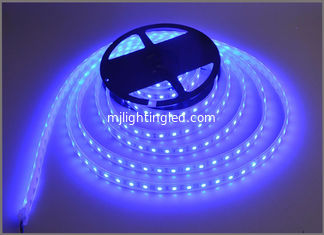 CHINE Décoration de construction bleue de la lumière 60led/m de ficelle de bande de lampe de la lumière de bandes 12V LED fournisseur