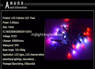 CHINE 12MM 5V Fullcolor Digital Rgb Led Pixel1903IC Pixels à chaîne Lumières T-1000S Contrôleurs Signes publicitaires programmables fournisseur