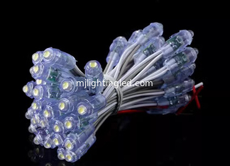 CHINE Le noeud imperméable de ficelle des modules 50pcs 9mm d'éclairage de LED allume des lumières de point du pixel LED de 5V 12V pour la publicité fournisseur