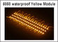 20pcs/lot imperméable lumineux superbe SMD 5050 la couleur jaune IP65 de 3 modules de LED a mené les lampes DC12V pour le panneau d'affichage fournisseur