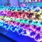 5V Fullcolor LED Party Light 50PCS 1903IC RGB 12 mm Pixels Numérique à chaîne adressable Décoration d'arbre de Noël fournisseur