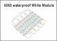 Les modules de la Chine LED 5050 3 ont mené des éclairages blancs légers de la publicité de couleur de module fournisseur