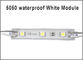 Les modules de la Chine LED 5050 3 ont mené des éclairages blancs légers de la publicité de couleur de module fournisseur