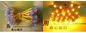 lettres oranges roses blanches jaunes vert-bleu rouge-clair d'éclairage de la publicité de Voilet de point de la lumière 5V/12V de pixel de 9mm LED fournisseur