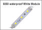 Module 5050 de DC12V LED couleur blanche 20PCS/Lot de allumage lumineux superbe de 3 de LED de publicité modules imperméables RVB de la conception LED fournisseur
