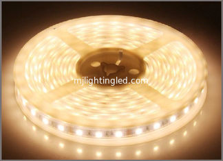CHINE La lumière flexible 3528SMD LED blanche de bande de LED dépouille la lumière IP65 décorative imperméable de ficelle de DC12V LED fournisseur