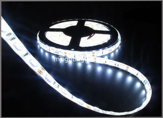 CHINE Lumière LED 5050 DC12V Lumière LED flexible IP65 imperméable à l'eau 60 Led/M,5m/Roll Lumière LED blanche 5050 fournisseur