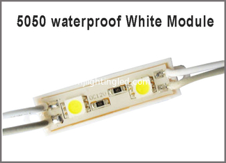 CHINE 5050SMD 2 LED Module Light Panneau d'affichage LED 12V Modules de panneau LED 12V Lamp Light RGB/rouge/bleu/chaud/blanc étanche à l'eau fournisseur
