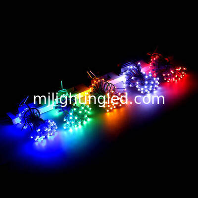 CHINE LED Pixel Light 5V 12V Point Lighting Pour les panneaux publicitaires extérieurs LED Lighting Letters Rouge Vert Bleu Jaune Blanc Rose fournisseur