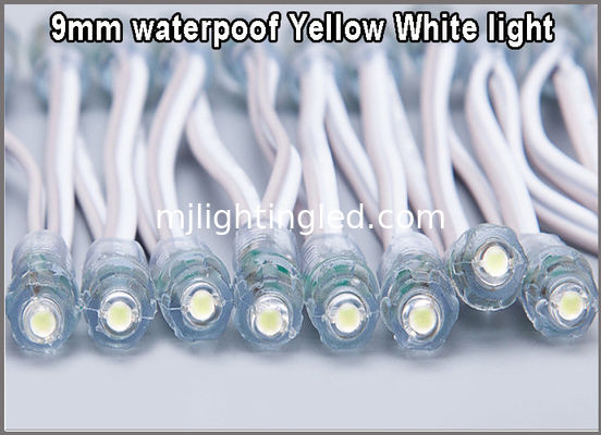 LEDs de pixel 9mm à l'épreuve de l'eau 5V 12V pour enseignes lumineuses fournisseur