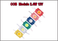 l'ÉPI 2.4w 5016 a mené les modules 12V rouges/modules verts/bleus/jaunes/blancs/roses pour le contre-jour mené fournisseur