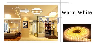 Lumière LED 5050 DC12V Lumière LED flexible IP65 imperméable à l'eau 60 Led/M,5m/Roll Lumière LED blanche 5050 fournisseur