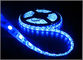 Lumière à LED 5050 5m 300 LED 60led/M imperméable à l'eau IP65 imperméable à l'eau 12V lumière flexible 5050 LED bande bleue fournisseur