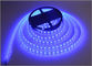 Décoration de construction bleue de la lumière 60led/m de ficelle de bande de lampe de la lumière de bandes 12V LED fournisseur