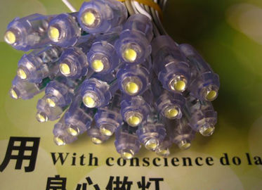 Lumière à chaîne 5V/12V à LED Pixel Blanc fournisseur
