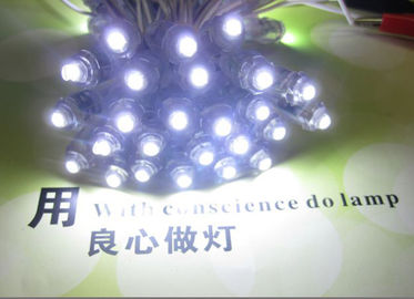 Lumière à chaîne 5V/12V à LED Pixel Blanc fournisseur