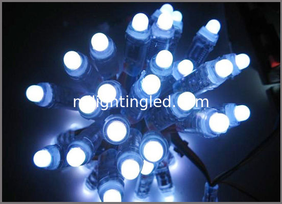 Guirlande lumineuse à LED adressable numérique couleur 12 mm UCS1903, 50 pièces/guirlande pour décoration de Noël fournisseur