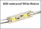 5050 module d'éclairage de 2 LED pour le signe DC12V imperméabilisent la couleur de blanc de modules menée par smd très brillant fournisseur