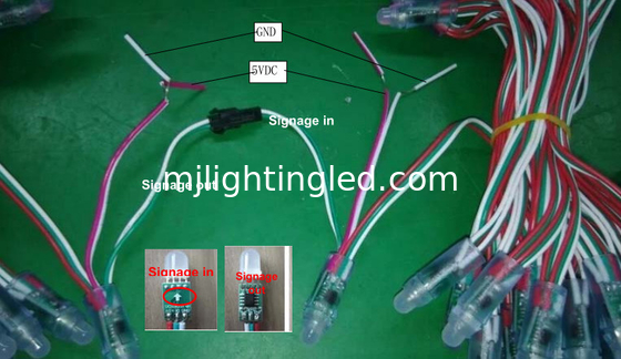 12 mm 5V Colorant LED Pixels Lumière 2802/2806/2811/1903IC Pour la décoration de Noël fournisseur