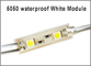 5050SMD 2 LED Module Light Panneau d'affichage LED 12V Modules de panneau LED 12V Lamp Light RGB/rouge/bleu/chaud/blanc étanche à l'eau fournisseur