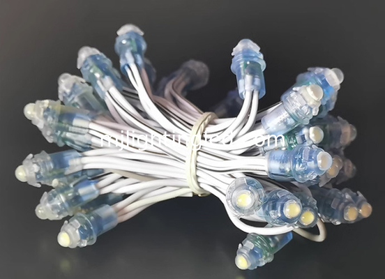 Lumière à chaîne 5V/12V à LED Pixel Blanc fournisseur