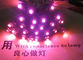 Lumière de point de la couleur 5V de rose de pixel de LED pour la décoration de bannière de magasin fournisseur