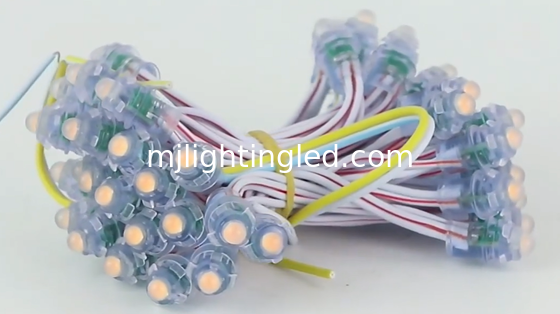 Mini LED 9mm pour panneaux publicitaires CE ROHS fournisseur