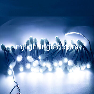 Module de pixels LED 9 mm DC5V, lumières ponctuelles étanches IP68 pour l'éclairage de signalisation publicitaire fournisseur