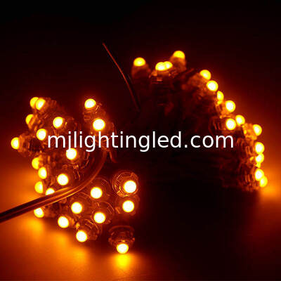 LED Pixel Light 5V 12V Point Lighting Pour les panneaux publicitaires extérieurs LED Lighting Letters Rouge Vert Bleu Jaune Blanc Rose fournisseur
