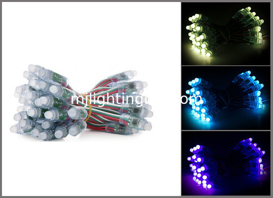12 mm 5V iP67 RGB LED Dot Light Pixels Light Fullcolor Pour éclairer les lettres fournisseur