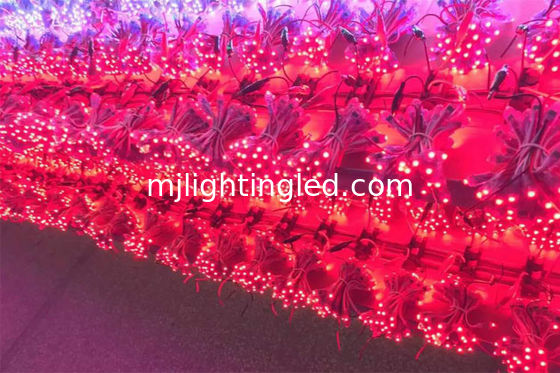 Module de pixels numériques personnalisé de 9 mm 5V/12V LED Light pour lettres publicitaires étanches
