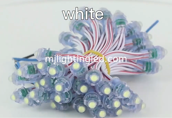 Le CE ROHS a mené Lamparas 50pcs/String IP66 DC5V 12v a entré les lumières menées de pixel pour des signes de magasin